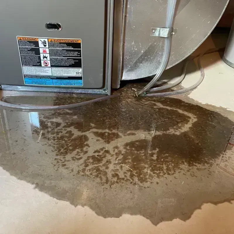 Appliance Leak Cleanup in Oakridge, OR